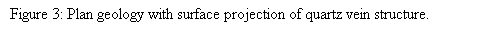 Text Box: Figure 3: Plan geology with surface projection of quartz vein structure.