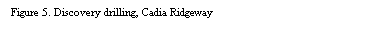 Text Box: Figure 5. Discovery drilling, Cadia Ridgeway