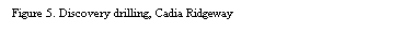 Text Box: Figure 5. Discovery drilling, Cadia Ridgeway