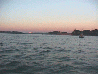 Mid0110.jpg
 (20.8k)